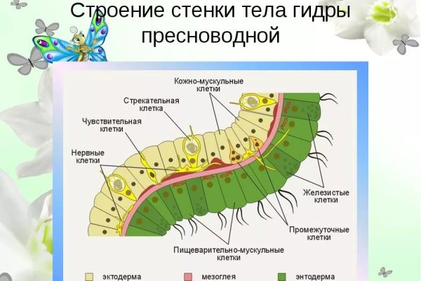 Как восстановить доступ к кракену