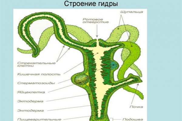 Вход в кракен чтобы купить меф