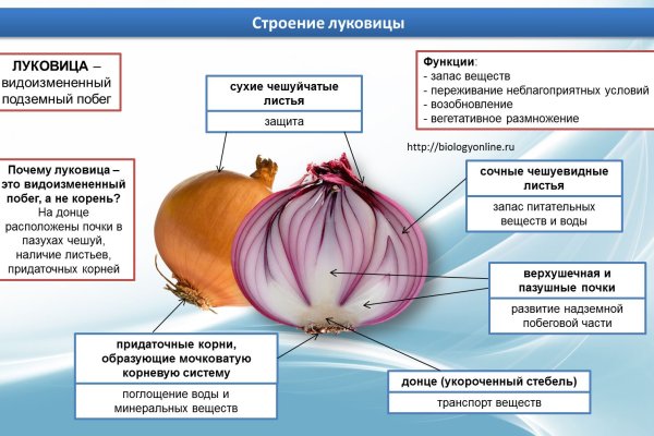 Кракен безопасный вход